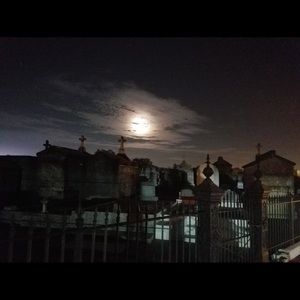 Meet your Posher, Reyna